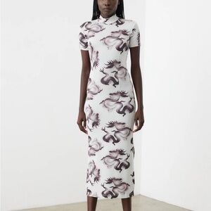 ISO Acne Studios Dragon Dress